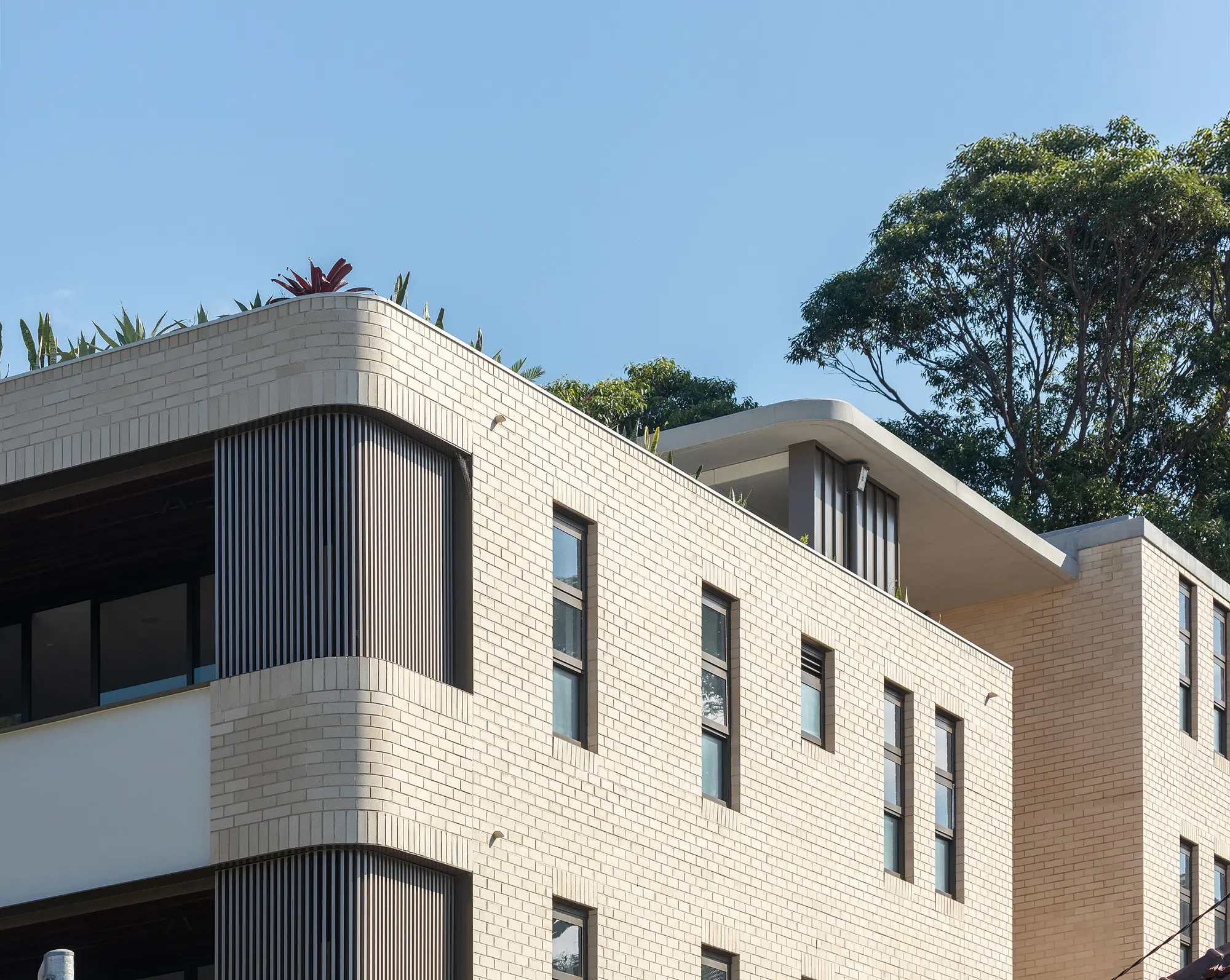 coogee apartments roof top